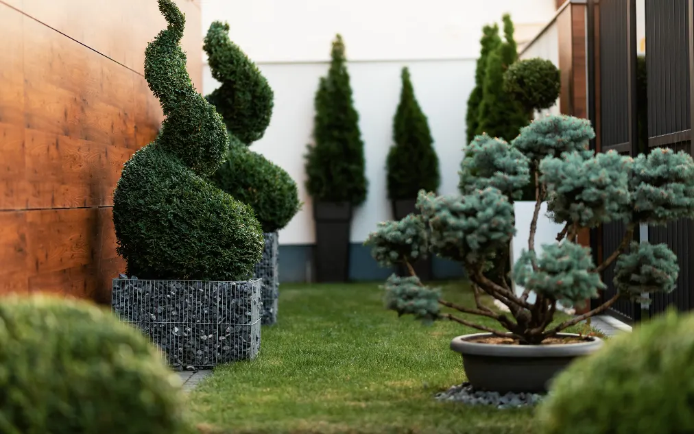 Exterior & Landscape rinteriordesign 3