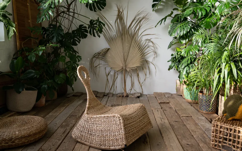 Sustainable Eco-conscious Design rinteriordesign 3